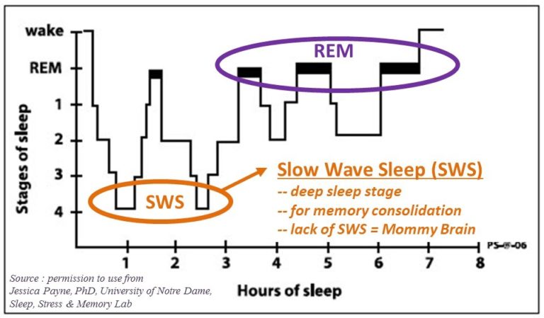 Mommy Brain explained: why you need deep sleep - MothersRest